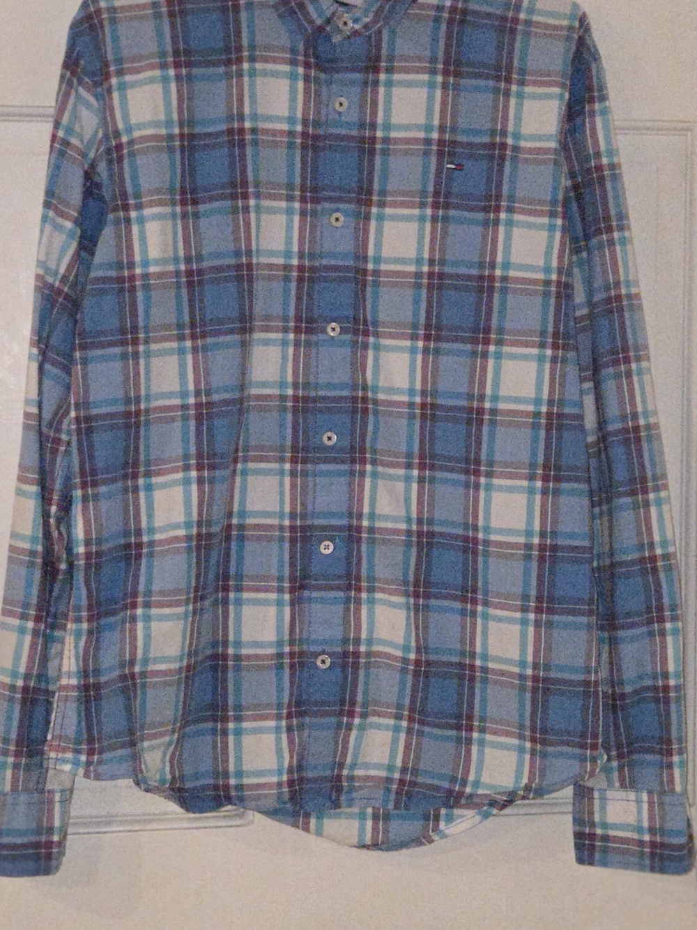 Tommy Hilfiger Blue and White Plaid Button-Down Shirt